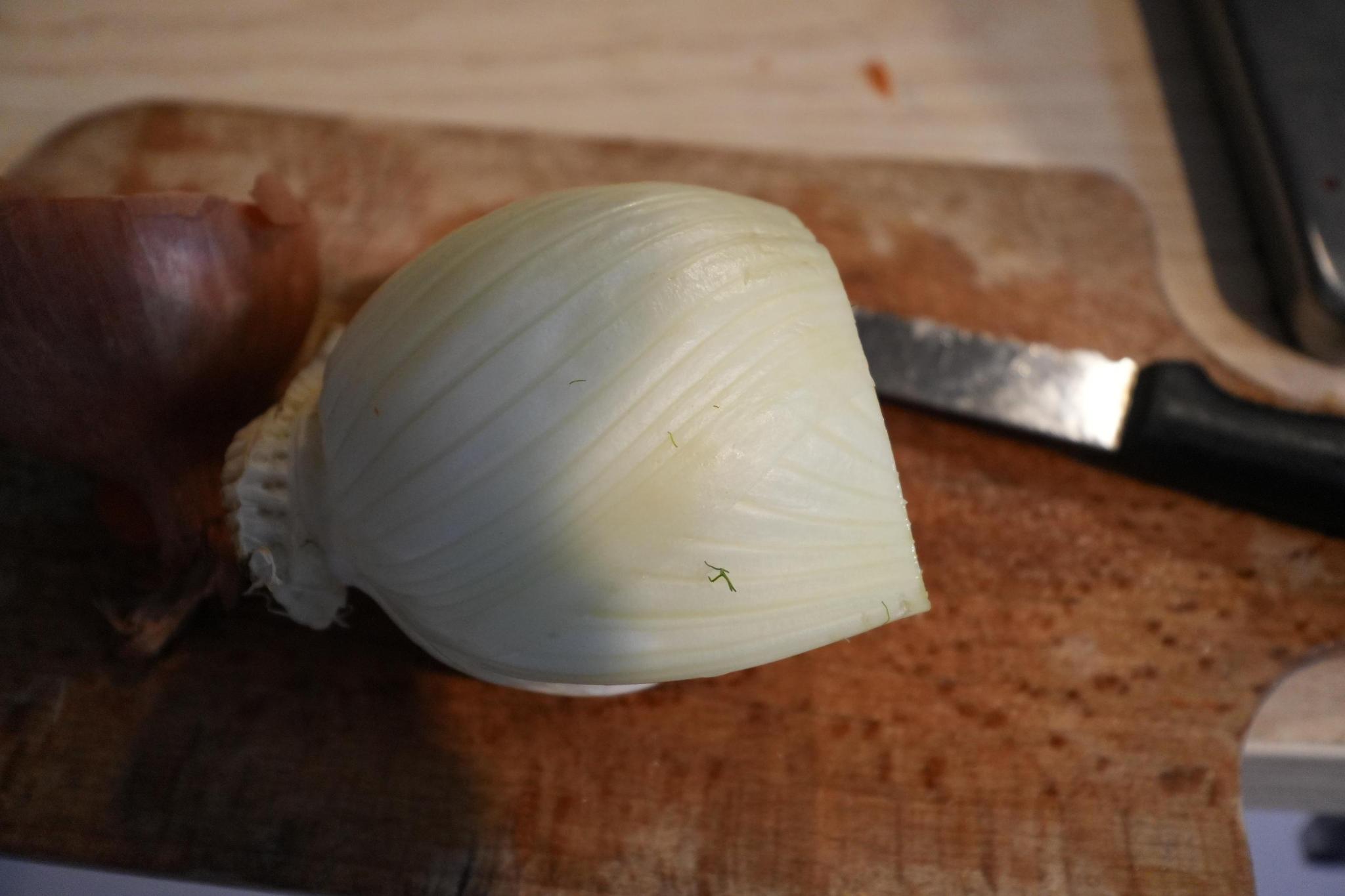 uncut fennel and half of an onion