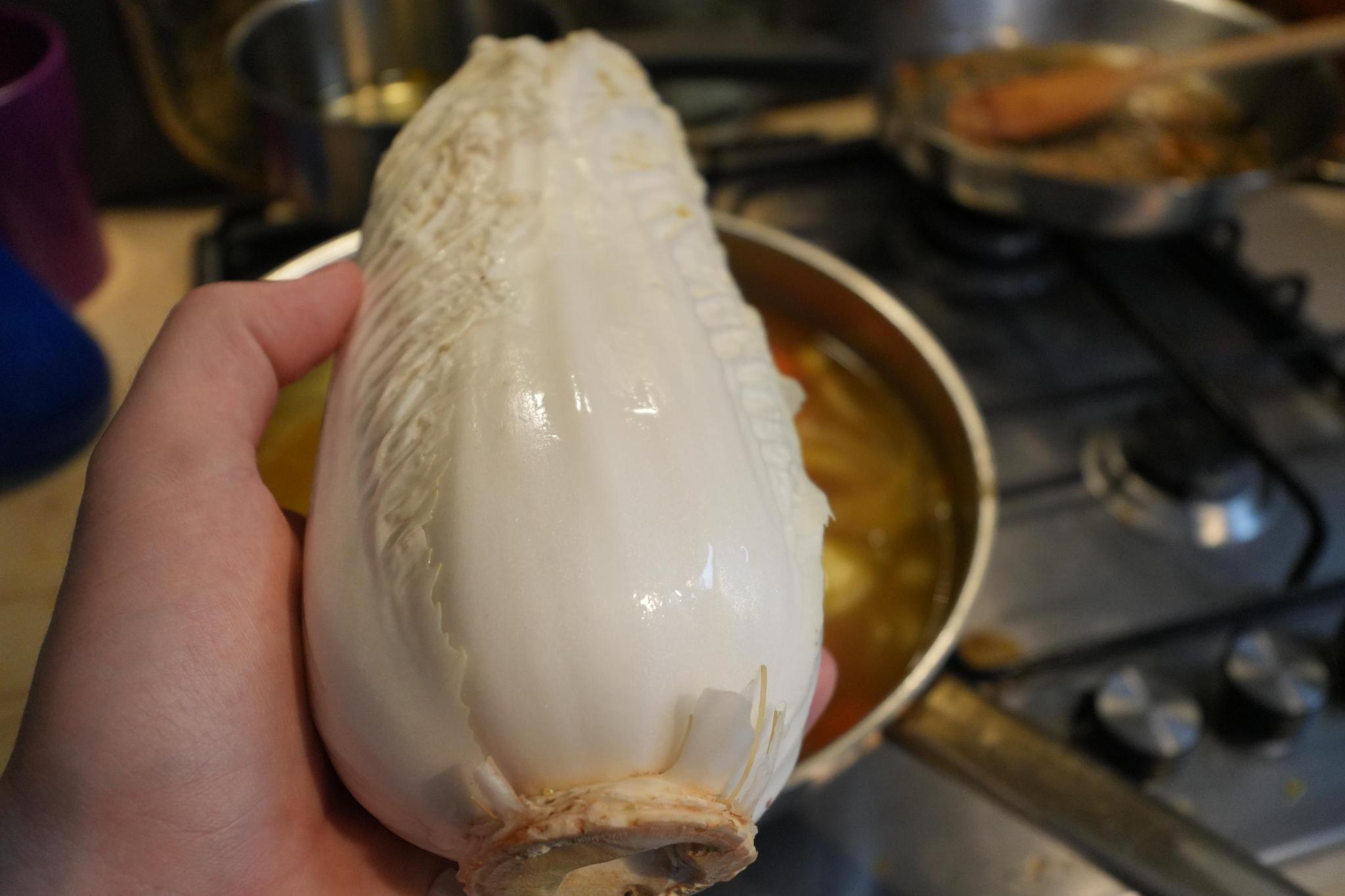chinese cabbage