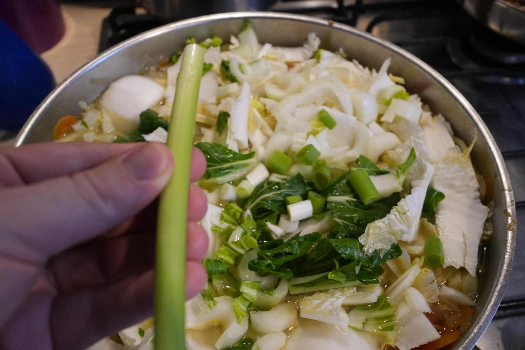 spring onion in the hand