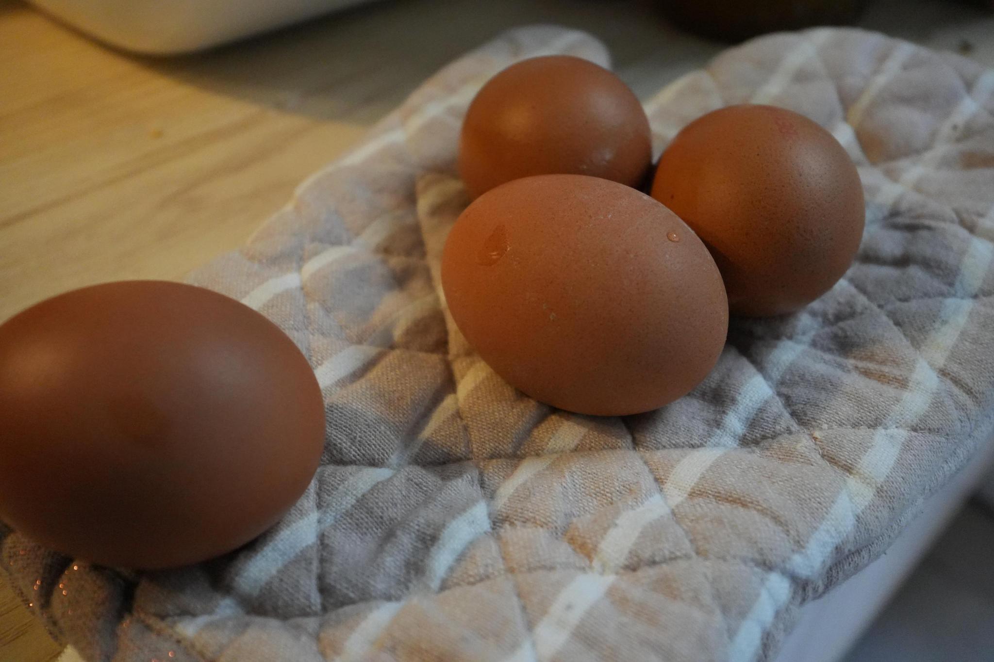 eggs on a counter