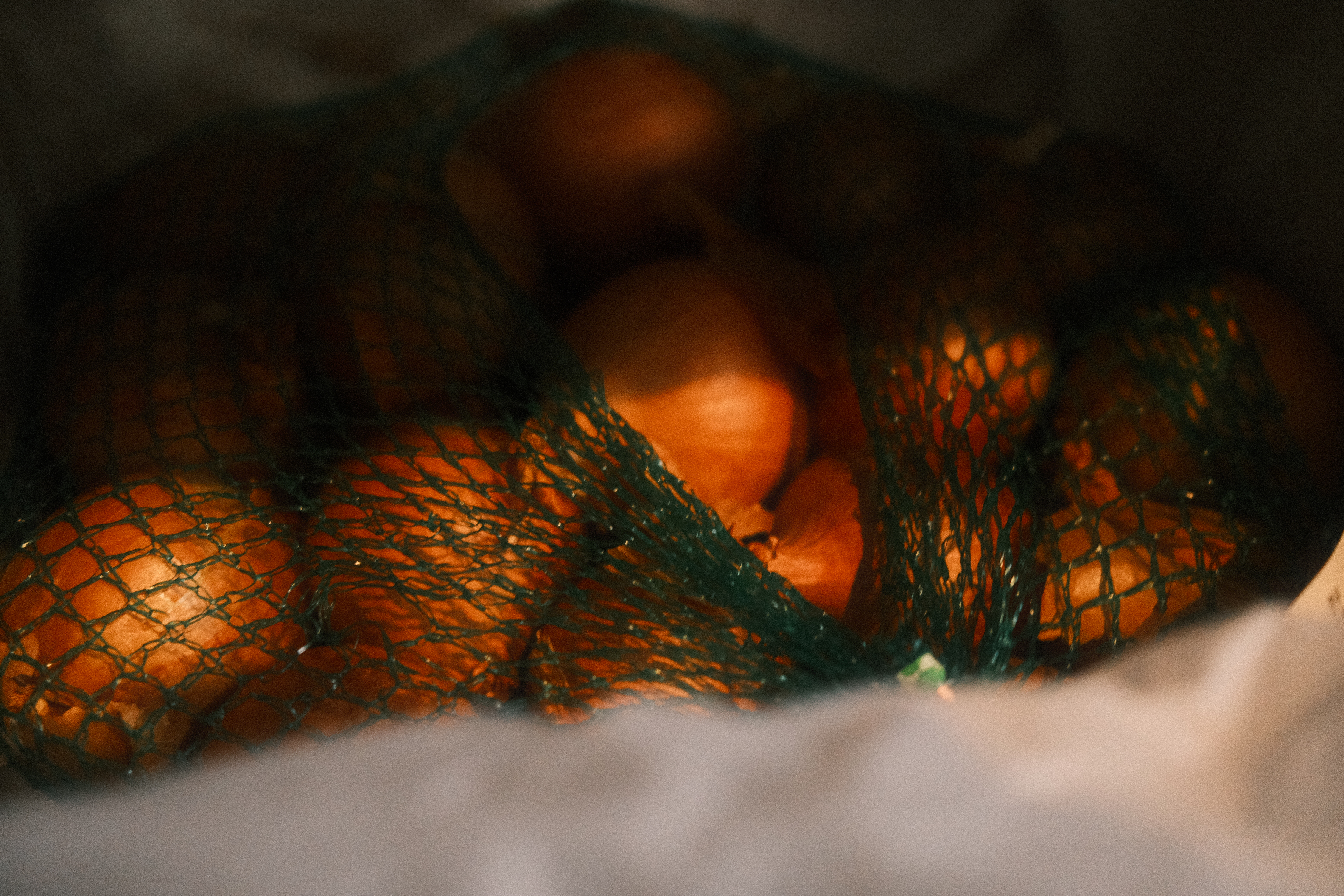 some onions in a bag