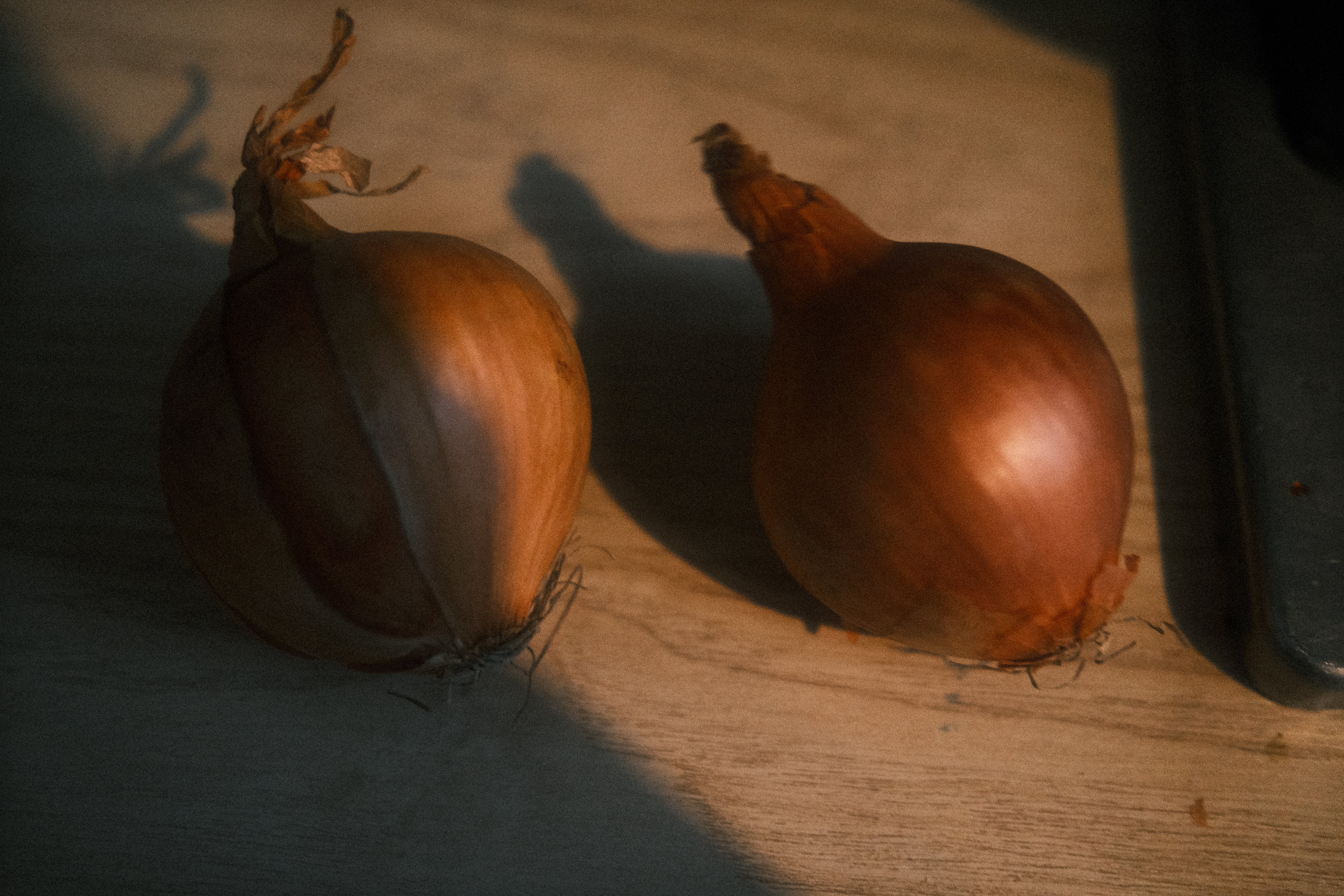 2 onions on a counter