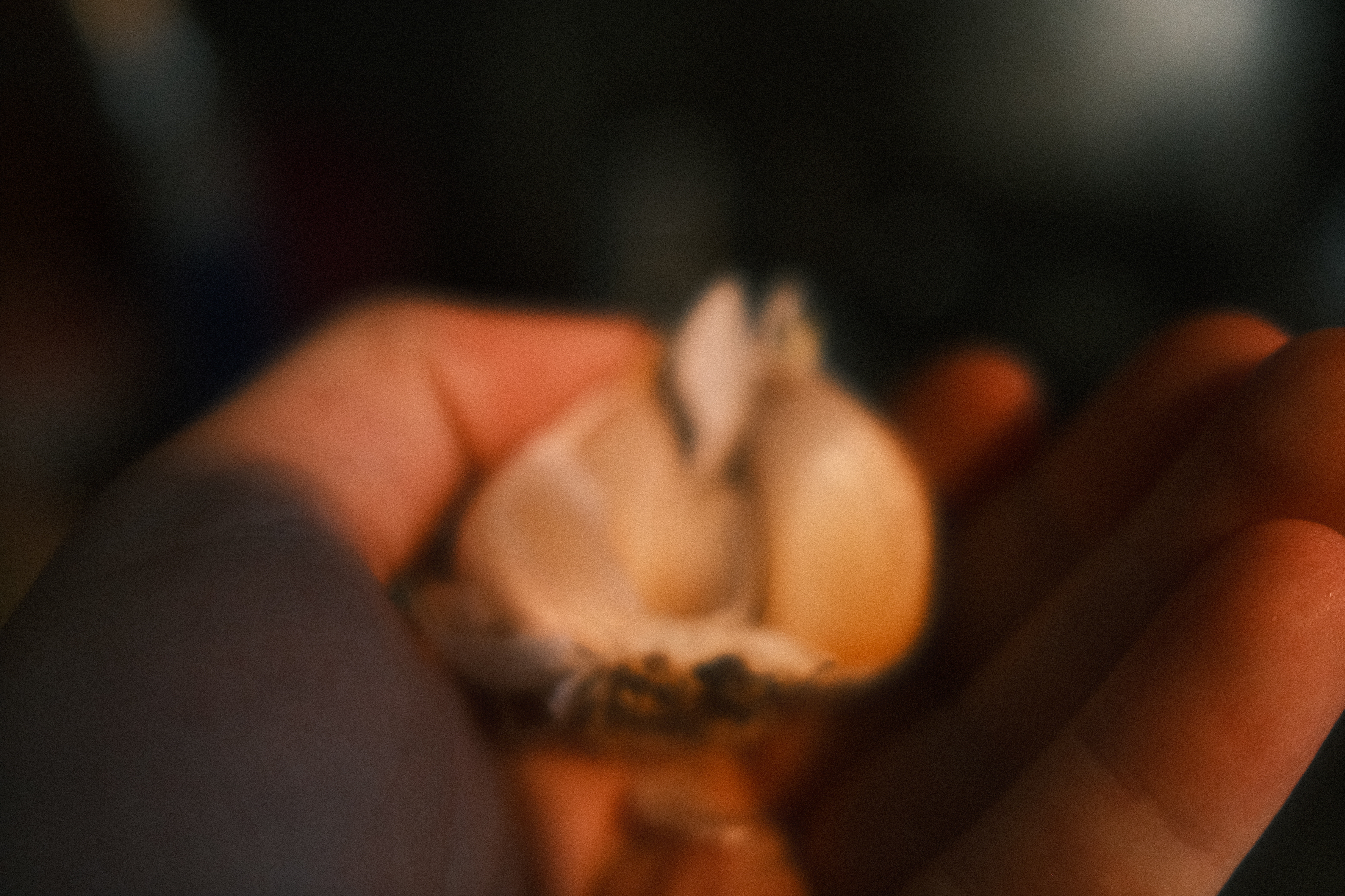 some garlic cloves