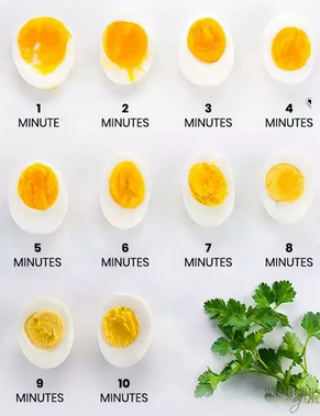 chart of how eggs look like on each time scale, ranging from 1 minute to 10 minutes
